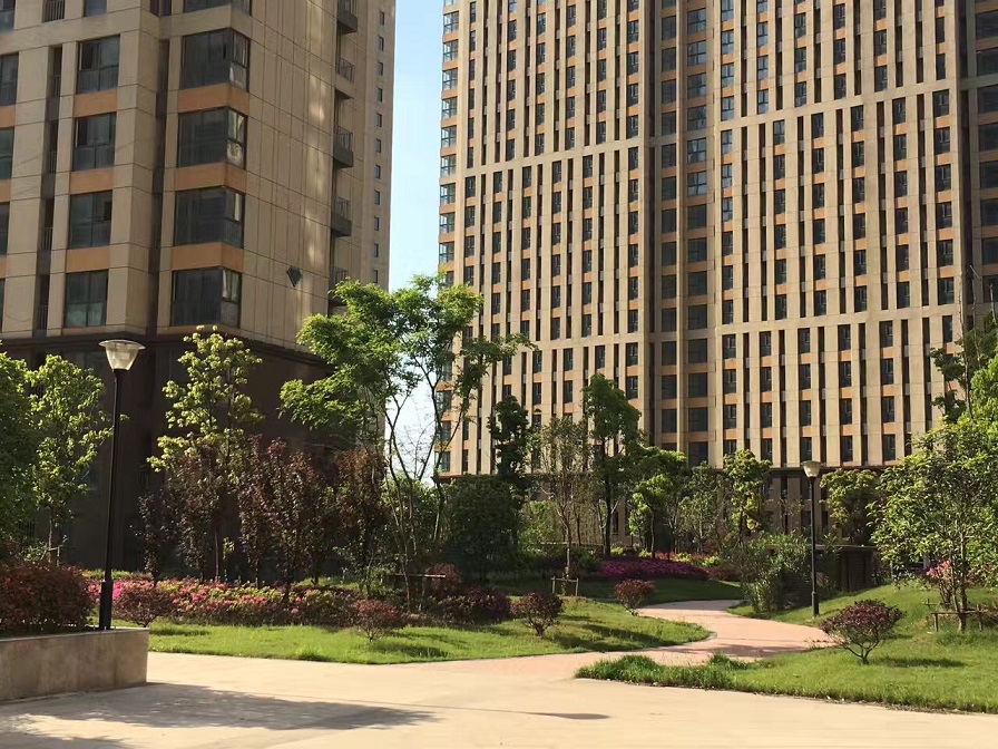 鸿运国际