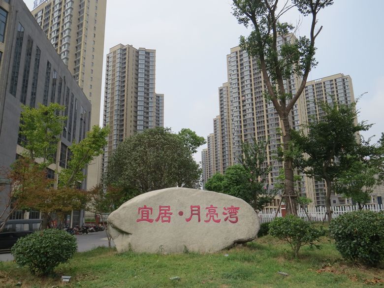 鸿运国际