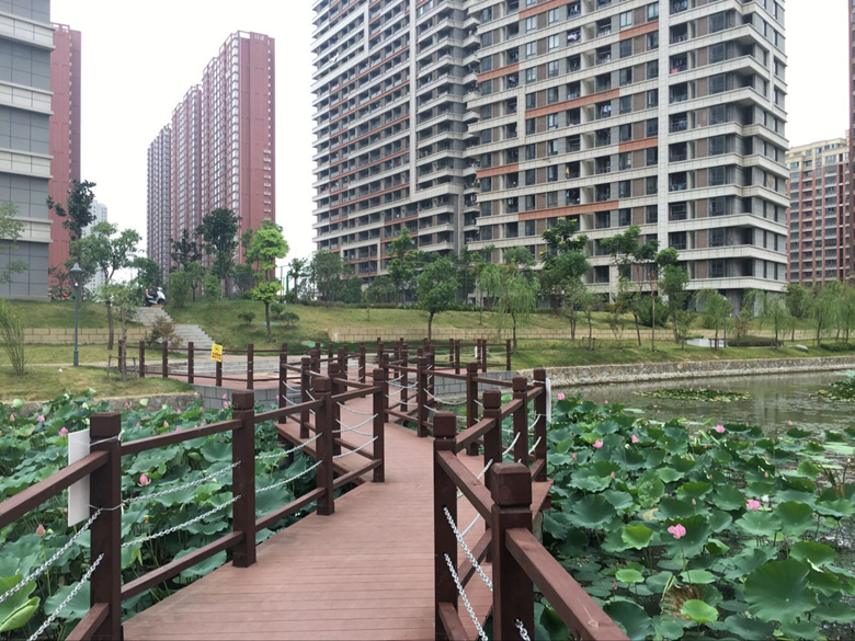 鸿运国际