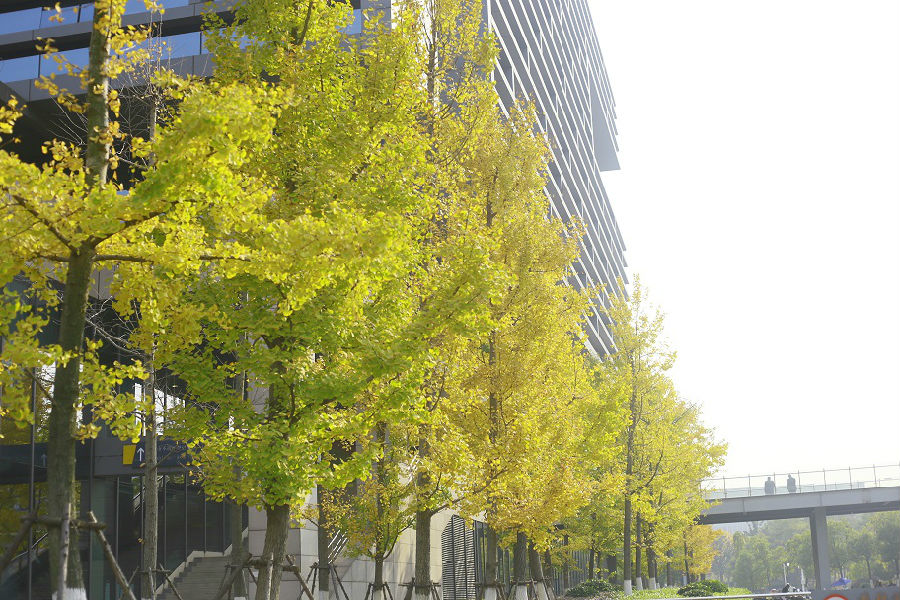 鸿运国际