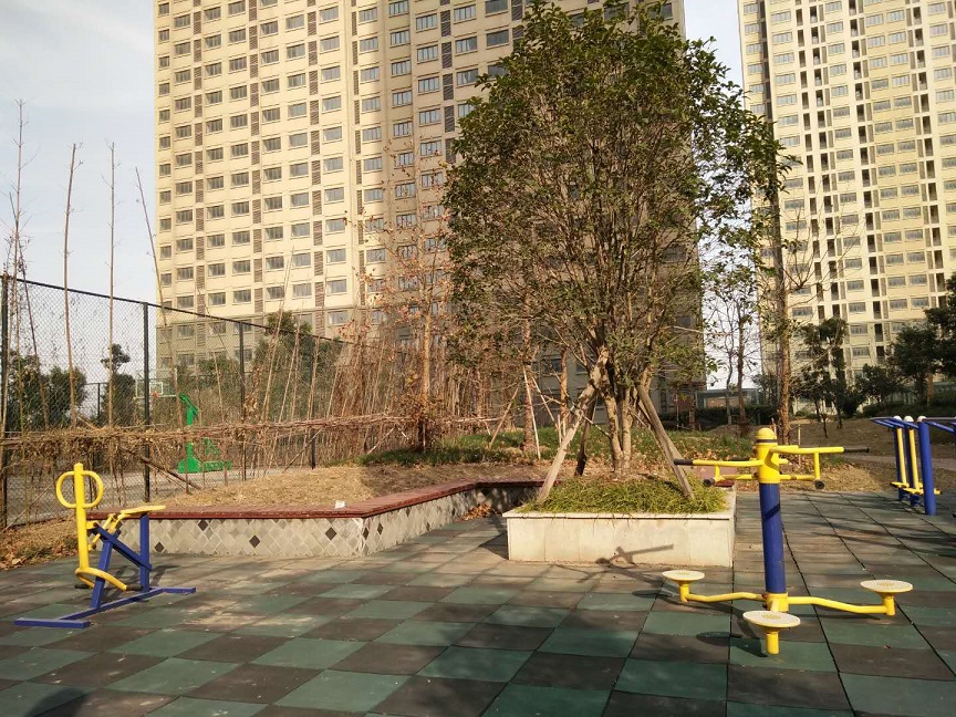 鸿运国际