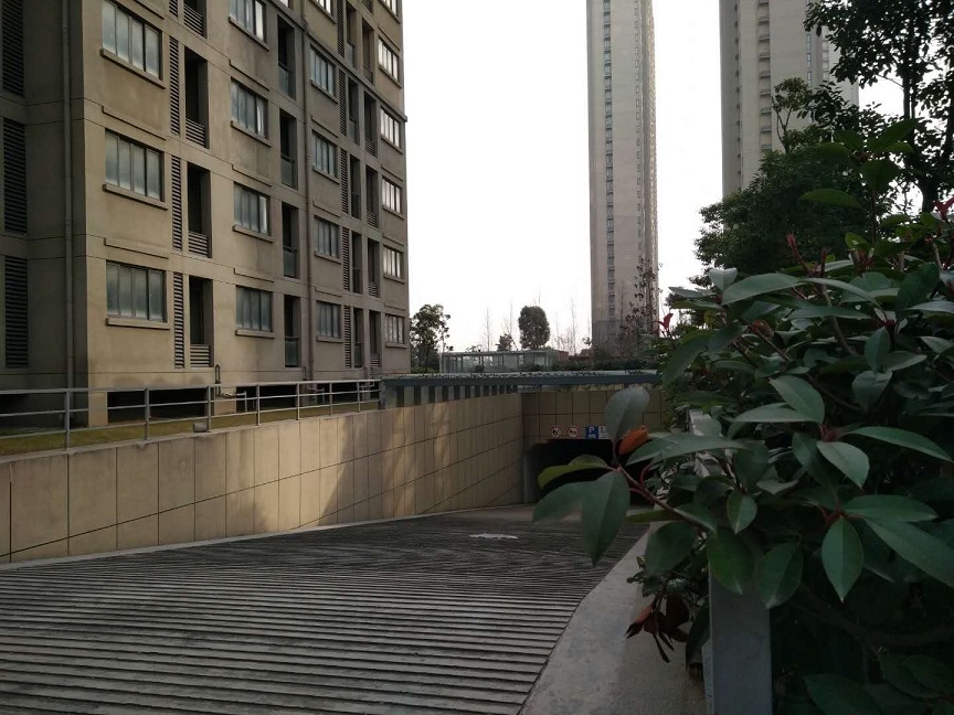 鸿运国际