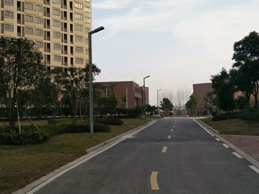 鸿运国际