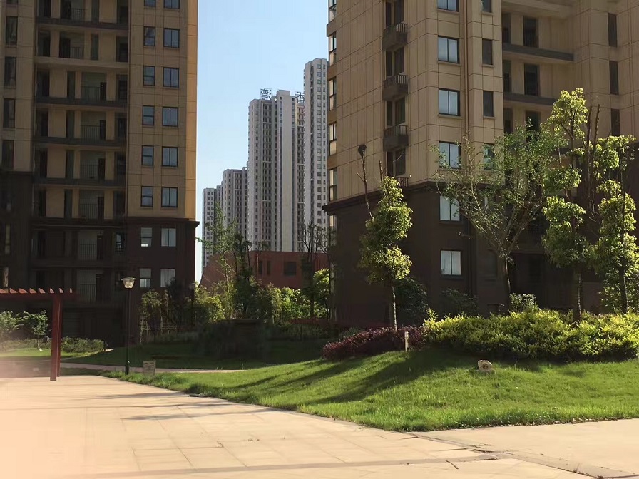 鸿运国际