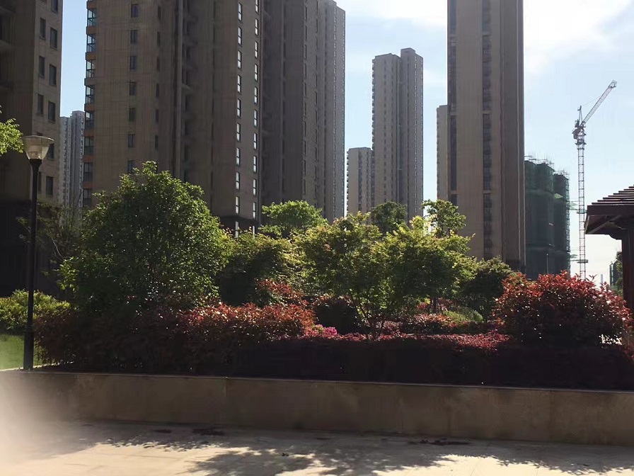 鸿运国际
